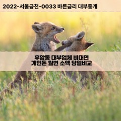 후암동대부대출 후암동비대면대출 용산구대부업체개인돈 후암동월변대부업체 후암동소액월변대출