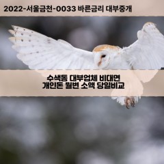 수색동대부대출 수색동비대면대출 은평구대부업체개인돈 수색동월변대부업체 수색동소액월변대출