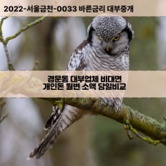 경운동대부대출 경운동비대면대출 종로구대부업체개인돈 경운동월변대부업체 경운동소액월변대출