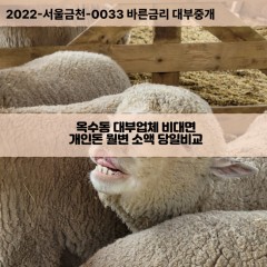 옥수동대부대출 옥수동비대면대출 성동구대부업체개인돈 옥수동월변대부업체 옥수동소액월변대출