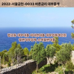 법곳동대부대출 법곳동비대면대출 고양시일산서구대부업체개인돈 법곳동월변대부업체 법곳동소액월변대출