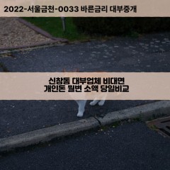 신창동대부대출 신창동비대면대출 용산구대부업체개인돈 신창동월변대부업체 신창동소액월변대출