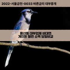 용산동대부대출 용산동1가비대면대출 용산구대부업체개인돈 용산동2가월변대부업체 용산동3가소액월변대출