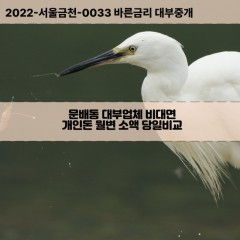 문배동대부대출 문배동비대면대출 용산구대부업체개인돈 문배동월변대부업체 문배동소액월변대출