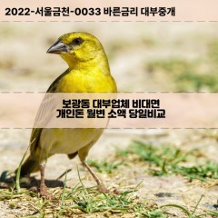 보광동대부대출 보광동비대면대출 용산구대부업체개인돈 보광동월변대부업체 보광동소액월변대출