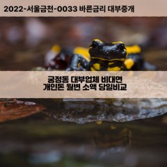 궁정동대부대출 궁정동비대면대출 종로구대부업체개인돈 궁정동월변대부업체 궁정동소액월변대출