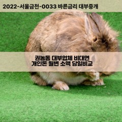 권농동대부대출 권농동비대면대출 종로구대부업체개인돈 권농동월변대부업체 권농동소액월변대출