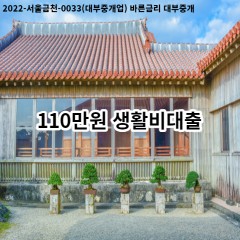 110만원 생활비대출 급전 당일 소액 일수 월변