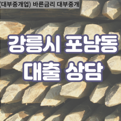 포남동대부업체 포남동비대면대출 강릉시대부업체개인돈 포남동월변대부대출 포남동소액대부업체