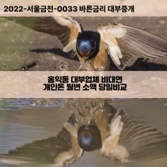 홍익동대부대출 홍익동비대면대출 성동구대부업체개인돈 홍익동월변대부업체 홍익동소액월변대출