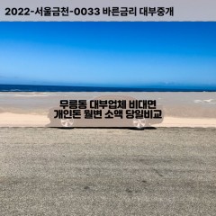 무릉동대부대출 무릉동비대면대출 공주시대부업체개인돈 무릉동월변대부업체 무릉동소액월변대출