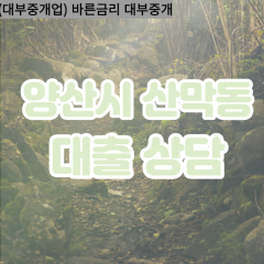 산막동대부업체 산막동비대면대출 양산시대부업체개인돈 산막동월변대부대출 산막동소액대부업체