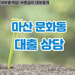 문화동대부업체 문화동대면대출 마산합포구대부업체개인돈 문화동월변대부대출 문화동소액대부업체