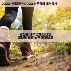 광산동대부대출 광산동비대면대출 광주광산구대부업체개인돈 광산동월변대부업체 광산동소액월변대출