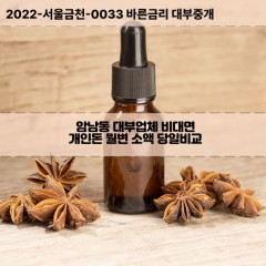 암남동대부대출 암남동비대면대출 부산서구대부업체개인돈 암남동월변대부업체 암남동소액월변대출