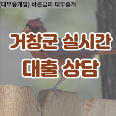 신원면대부업체 웅양면비대면대출 거창군대부업체개인돈 위천면월변대부대출 주상면소액대부업체