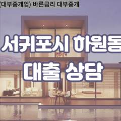 하원동대부업체 하원동비대면대출 서귀포시대부업체개인돈 하원동월변대부대출 하원동소액대부업체