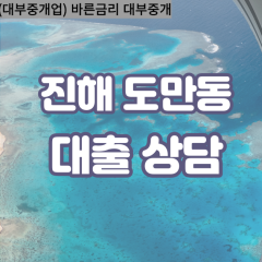 도만동대부업체 도만동대면대출 경상남도진해대부업체개인돈 도만동월변대부대출 도만동소액대부업체