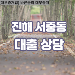 서중동대부업체 서중동대면대출 경상남도진해구대부업체개인돈 서중동월변대부대출 서중동소액대부업체