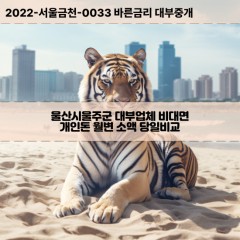 삼동면대부대출 상북면비대면대출 울산시울주군대부업체개인돈 서생면월변대부업체 언양읍소액월변대출