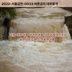 직동대부대출 직동비대면대출 광주시대부업체개인돈 직동월변대부업체 직동소액월변대출