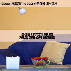 갈산동대부대출 갈산동비대면대출 부평구대부업체개인돈 갈산동월변대부업체 갈산동소액월변대출