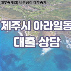 아라일동대부업체 아라일동비대면대출 제주시대부업체개인돈 아라일동월변대부대출 아라일동소액대부업체