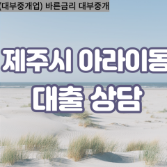 아라이동대부업체 아라이동비대면대출 제주시대부업체개인돈 아라이동월변대부대출 아라이동소액대부업체