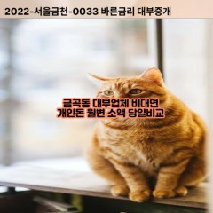 금곡동대부대출 금곡동비대면대출 남양주시대부업체개인돈 금곡동월변대부업체 금곡동소액월변대출