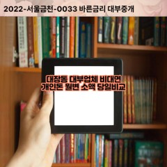 대장동대부대출 대장동비대면대출 성남시분당구대부업체개인돈 대장동월변대부업체 대장동소액월변대출