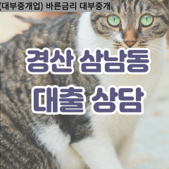 삼남동대부대출 삼남동비대면대출 경산시대부업체 삼남동급전대출개인돈 삼남동소액월변대출