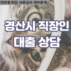 용성면대부대출 자인면비대면대출 경산시대부업체 진량읍급전대출개인돈 하양읍소액월변대출