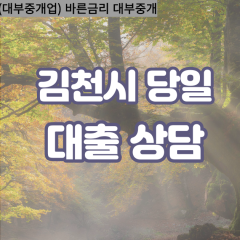 남면대부대출 농소면비대면대출 김천대부업체 대덕면급전대출개인돈 대항면소액월변대출