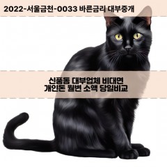 신풍동대부대출 신풍동비대면대출 전북김제시대부업체 신풍동급전대출개인돈 신풍동소액월변대출