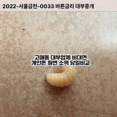 고매동대부대출 고매동비대면대출 용인시기흥구대부업체 고매동급전대출개인돈 고매동소액월변대출