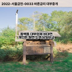 동백동대부대출 동백동비대면대출 용인시기흥구대부업체 동백동급전대출개인돈 동백동소액월변대출