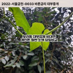 보라동대부대출 보라동비대면대출 용인시기흥구대부업체 보라동급전대출개인돈 보라동소액월변대출