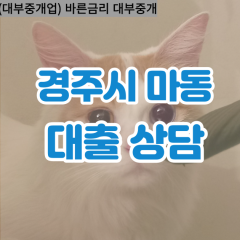 마동대부대출 마동비대면대출 경주시대부업체 마동급전대출개인돈 마동소액월변대출