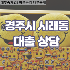 시래동대부대출 시래동비대면대출 경주대부업체 시래동급전대출개인돈 시래동소액월변대출