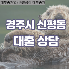 신평동대부대출 신평동비대면대출 경주대부업체 신평동급전대출개인돈 신평동소액월변대출