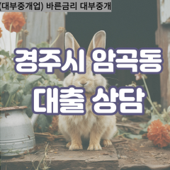 암곡동대부대출 암곡동비대면대출 경주대부업체 암곡동급전대출개인돈 암곡동소액월변대출