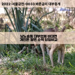 남노송동대부대출 남노송동비대면대출 전주시완산구대부업체 남노송동급전대출개인돈 남노송동소액월변대출