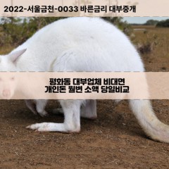 평화동대부대출 평화동1가비대면대출 전주시완산구대부업체 평화동2가급전대출개인돈 평화동3가소액월변대출