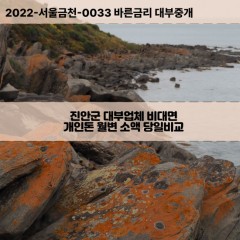 정천면대부대출 주천면비대면대출 전북진안군대부업체 진안읍급전대출개인돈 전라도소액월변대출