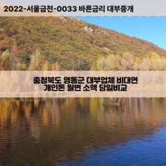 추풍령면대부대출 학산면면비대면대출 충북영동군대부업체 황간면급전대출개인돈 충청북도소액월변대출