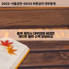 충청북도대부대출 제천비대면대출 충북제천시대부업체 청풍면급전대출개인돈 한수면소액월변대출