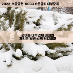 평여동대부대출 평여동비대면대출 전남여수시대부업체 평여동급전대출개인돈 평여동소액월변대출