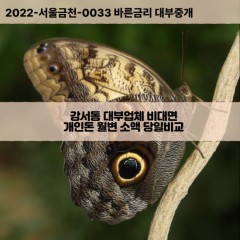 강서동대부대출 강서동비대면대출 청주시흥덕구대부업체 강서동급전대출개인돈 강서동소액월변대출