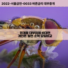 화계동대부대출 화계동비대면대출 청주시흥덕구대부업체 화계동급전대출개인돈 화계동소액월변대출