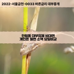 안림동대부대출 안림동비대면대출 충북충주시대부업체 안림동급전대출개인돈 안림동소액월변대출